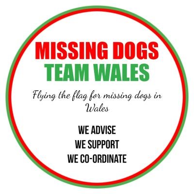 Helping reunite missing and stolen pets in Wales🏴󠁧󠁢󠁷󠁬󠁳󠁿 We advise & support owners. Drone pilots & ground searchers available. Facebook link⬇️