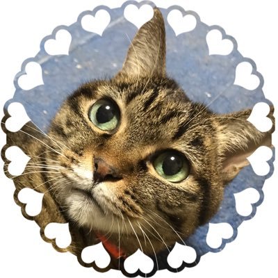 桜華 またたびさんのプロフィール画像