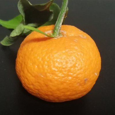 mag/まぐさんのプロフィール画像