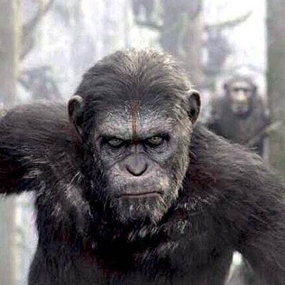 UKR_STONE's profile picture. This war will go down in history as the war of those who fought for their freedom against those who fought for their slavery.