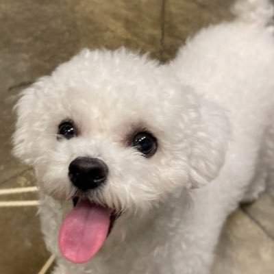 yaesbigwins's profile picture. ✨ MANIFESTING BIG WINS ✨