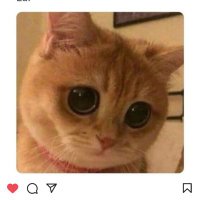 Luh 🌻 (@luclia22676454) 's Twitter Profile