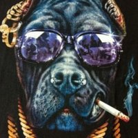 MILLIONARIE $PIT🏳️🌈 (@g6_yusufs) 's Twitter Profile