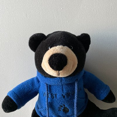 Hi! I'm Teddy, WV's Black Bear who supports the #ChildTaxCredit and WV families         insta:@teddy_wv