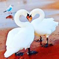 Aboubacarr (@bubakingparta5) 's Twitter Profile