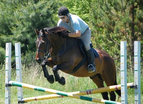 Sport Horse owner/rider, enjoy Eventing, Foxhunting