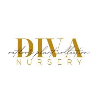 Diva Nursery(@diva_nursery) 's Twitter Profile Photo