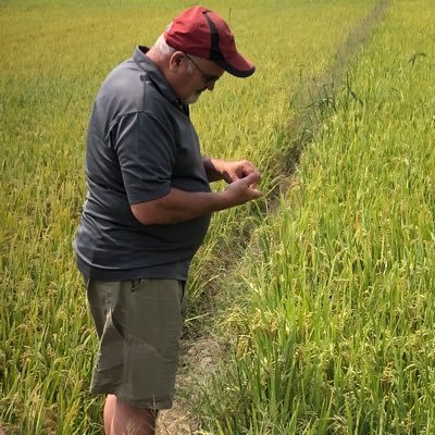 dandut56's profile picture. 