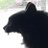 NorthCL_'s profile image