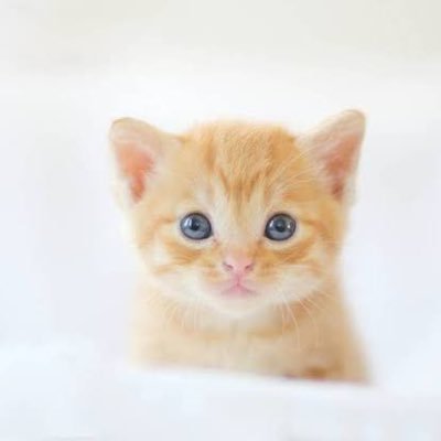 valorantとfortniteへただけどやってます DMあんまり見ませんごめんなさい