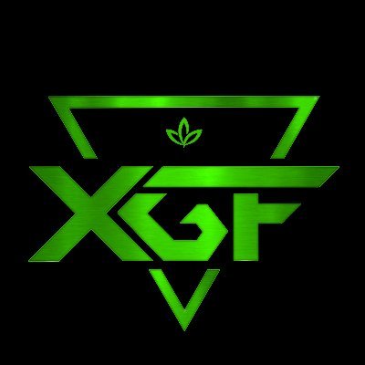 XGF https://t.co/Pz6Dt4rrEY is a fund that supports projects in the field of technology related to renewable energy, clean energy, IoT and new communication technologies.