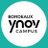 ynov_bordeaux