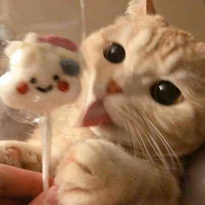 greenlime2301's profile picture. 🎼puzzle piece