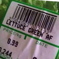 THOTLESS (@0x_lettuce_af) 's Twitter Profile Photo