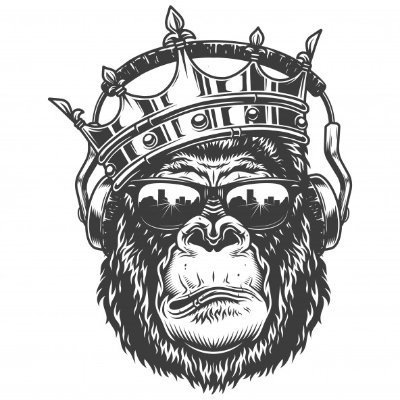 AlpacCrypto's profile picture. 