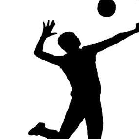 IN_Boys_VB's profile picture. Premier boys volleyball news throughout Indiana