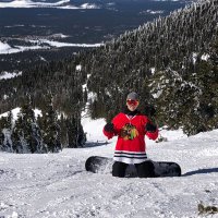 Treeman🌳 (@maxhaffner12) Twitter profile photo