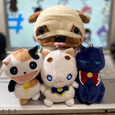 ありまるさんのプロフィール画像