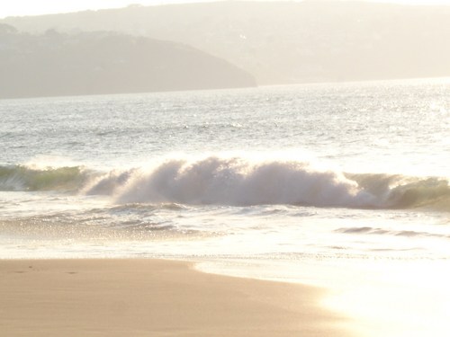 ropjil's profile picture. 