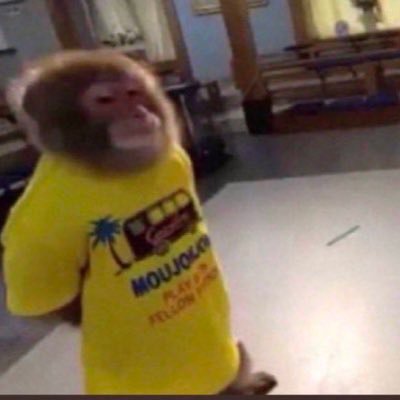 toxicbitchless's profile picture. ‍ ‍Im annoying. Like a mosquito