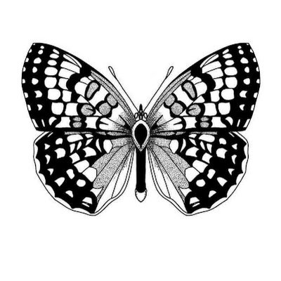 Pedruts02's profile picture. 