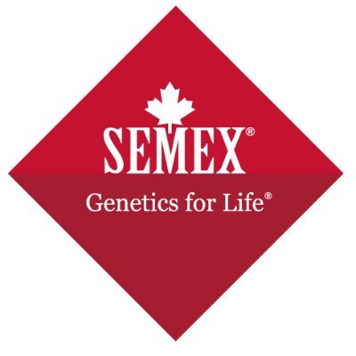 Semex UK