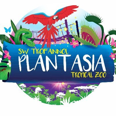 Leave the city behind as you step through a giant tree into a living Rainforest full of giant exotic plants and animals. Fun for all the family