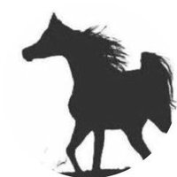 عبدالله العتيبي (@althobaity_2012) Twitter profile photo