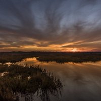 Đỗ Văn Lai (@vnlai11) 's Twitter Profile