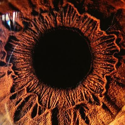 revoltoso71's profile picture. Sine libris cella, sine anima corpus est.
#Ciceron //

2+2 = 4, 2+2 = 4, 2+2 = 4;
And there is only 2 genders.