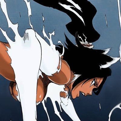 noé 🍃🏴‍☠️ | BLEACH LE RETOUR