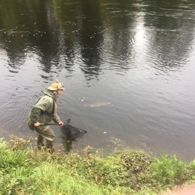 1.7 miles of salmon fishing for all abilities on the River Tay in Perthshire, Scotland. Boat and bank fishing with two full time ghillies. Tackle hire available