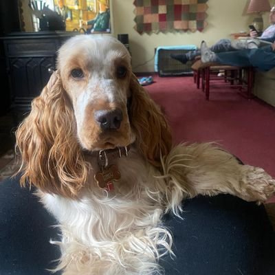 JeanHillyer's profile picture. 