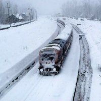 Syed Tariq Shah (@syedtar21518302) 's Twitter Profile