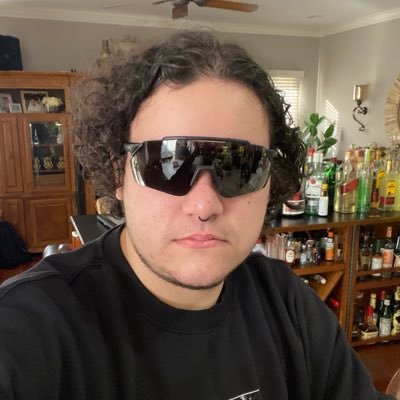 Chief delinquent of the headass squadron. he/him. English/español/日本語