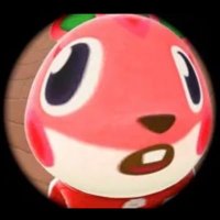 Anika (@anikabriee) Twitter profile photo