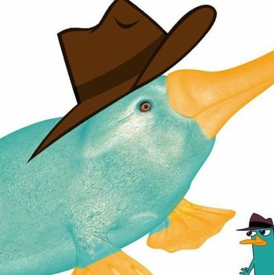 Actual student opinions about BHCS
All hail perry the platypus.