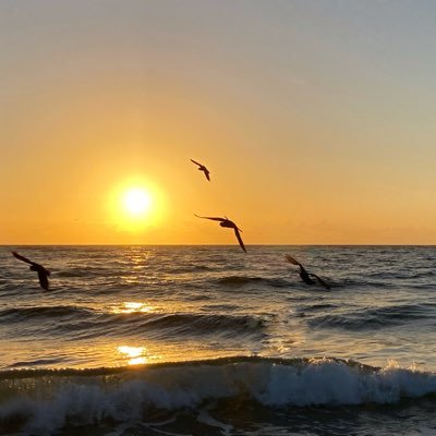 TheRealBigSun's profile picture. 