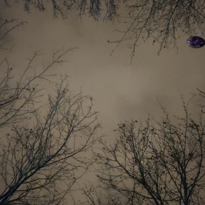 talamus_8090's profile picture.