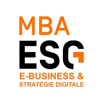 Twitter Officiel du MBA EBusiness Stratégie Digitale de l'école MBA ESG. #mbaebdigistrat Suivez les nouvelles tendances du #digital et #ebusiness.