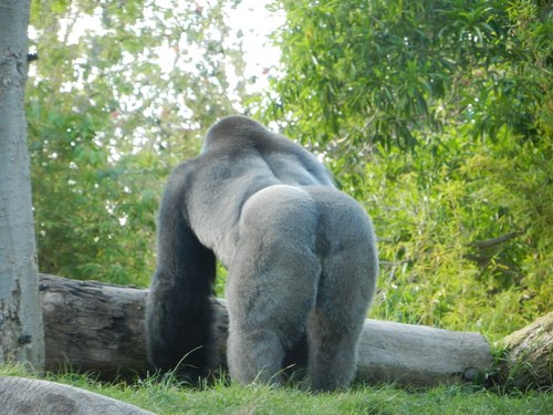 Angry_CableGuy's profile picture. 