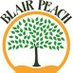 Blair Peach Primary School (@BlairPeachPS) Twitter profile photo