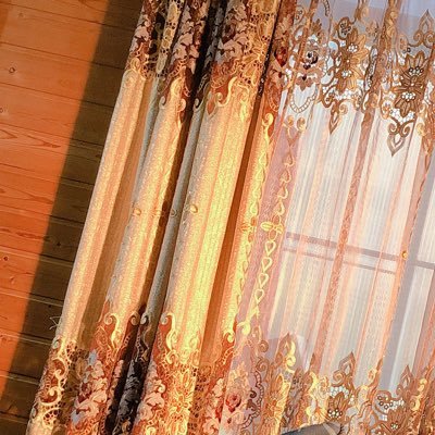 midoriさんのプロフィール画像