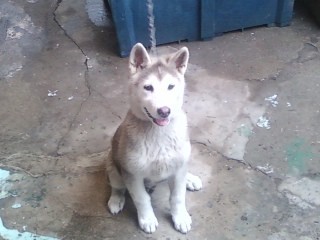 psed3366's profile picture. 인생을 홀로 보내고있는 솔로(솔로천국 커플지옥 이길...ㅜ.ㅜ)