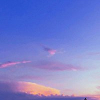 tnt. (@tnt_rl) 's Twitter Profile