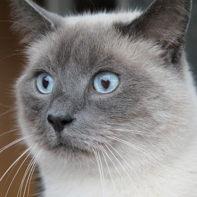 Catheri11270072's profile picture. 