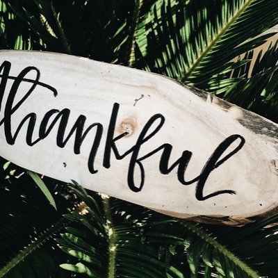 Selys_M's profile picture. Spreading positivity💖❣️💗