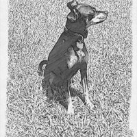 Debbie Druin (@dwilldr44) 's Twitter Profile