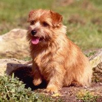 Keith Smith(@KeithSm23482862) 's Twitter Profile Photo Keith Smith(@KeithSm23482862) 's Twitter Profile Photo