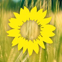 GRÜNE Rhein-Pfalz (@gruenerpk) Twitter profile photo